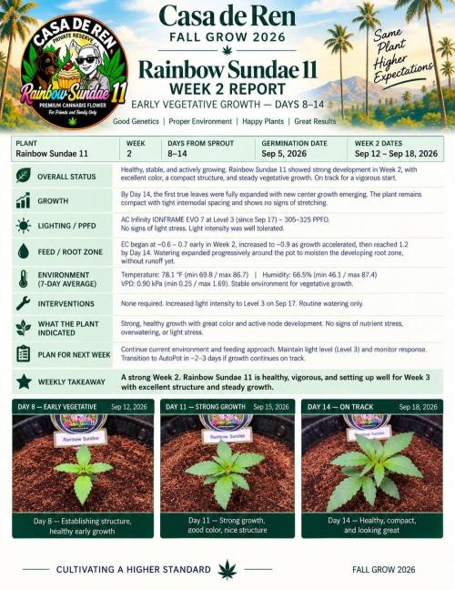 Rainbow Sundae 11-Mephisto Genetics. Week 2 - Weekly Report #2
