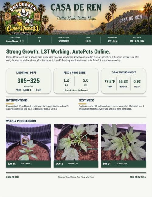 Canna Cheese 1:1 (2026) #1 & #2. Week 3 - Week 3 Summary