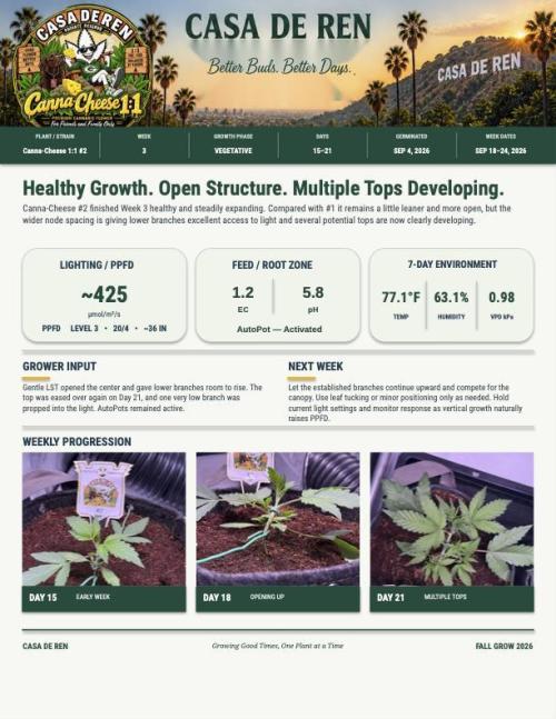 Canna Cheese 1:1 (2026) #1 & #2. Week 3 - Day 21-CC2-Weekly Summary