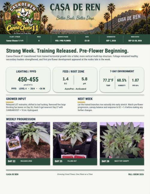 Canna Cheese 1:1 (2026) #1 & #2. Week 4 - Canna Cheese #1-Week #4 Weekly Summary