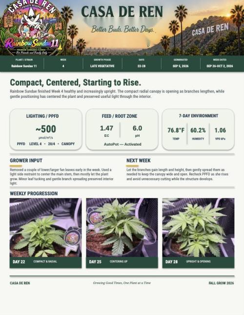 Rainbow Sundae 11-Mephisto Genetics. Week 4 - Week 4 Summary one sheet