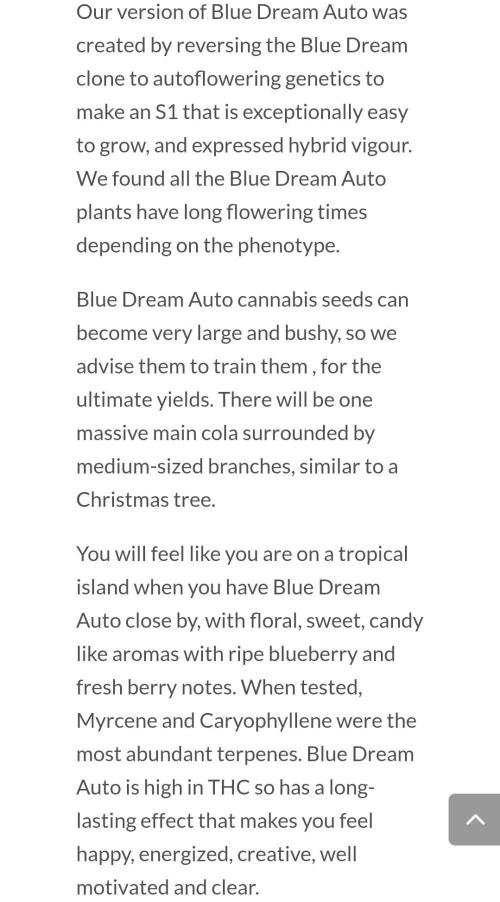 Blue Dream Automatic. Week 0