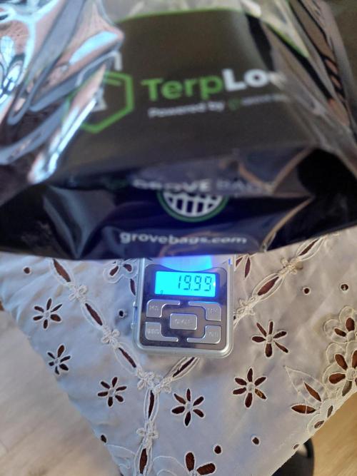 Oreoz USA. Week 15