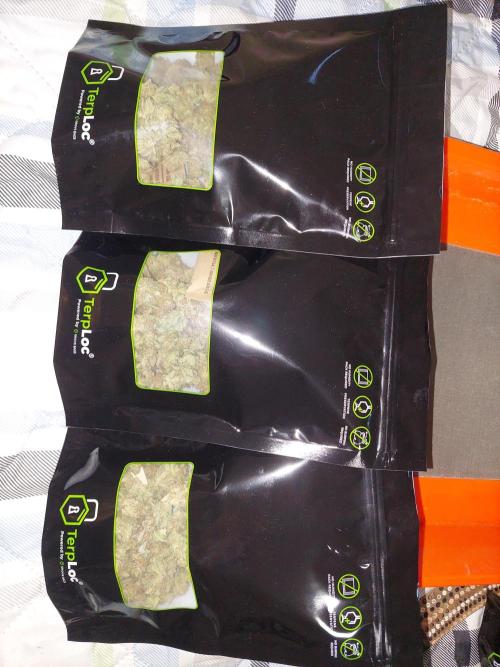 Oreoz USA. Week 15