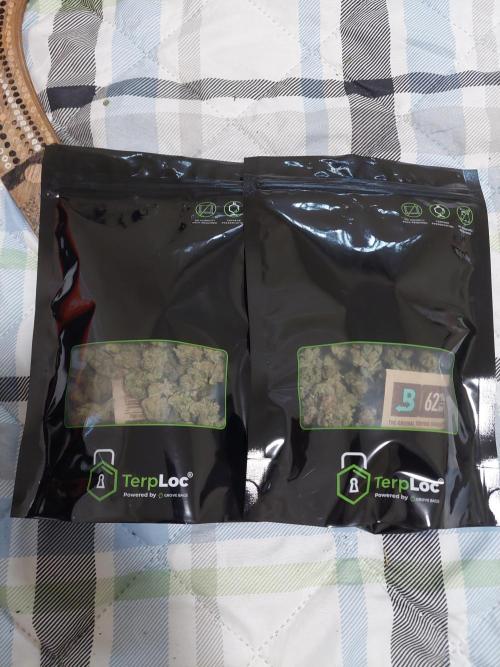 Oreoz USA. Week 15