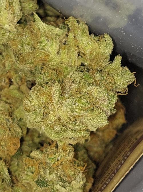 Oreoz USA. Week 15