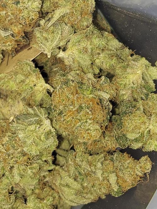 Oreoz USA. Week 15