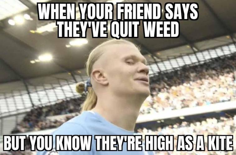 Kannabia Seed Company - Sunset Sherbet Go Fast door BarneyRumble420