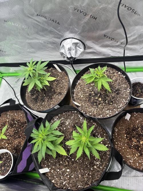 Back at it. Week 4
