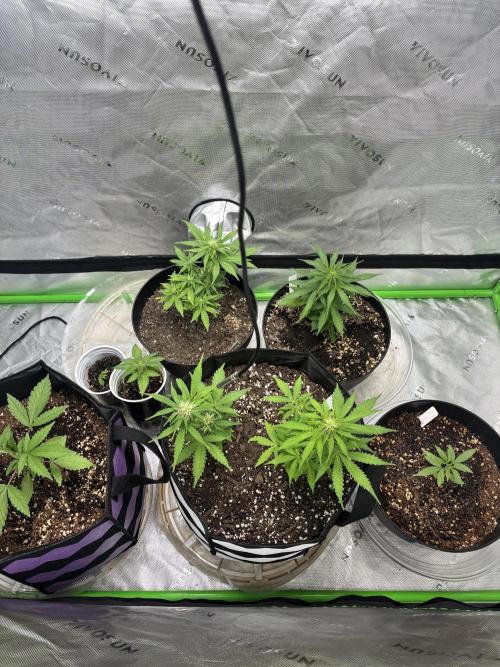 Back at it. Week 5