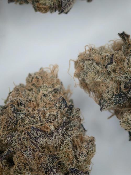 Cherry Breath FMG. Week 6