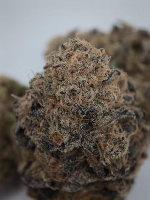 Cherry Breath FMG. Week 6