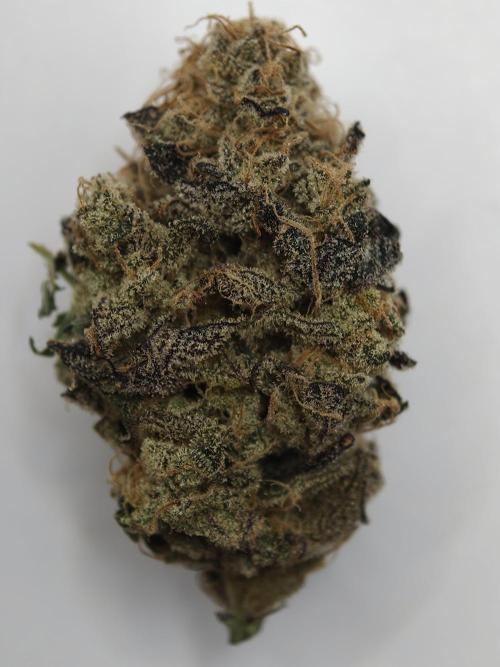 Cherry Breath FMG. Week 6