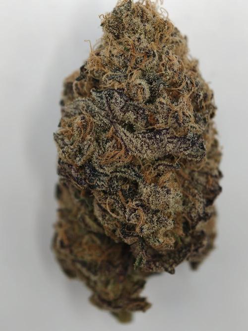Cherry Breath FMG. Week 6