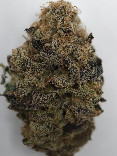 Cherry Breath FMG. Week 6
