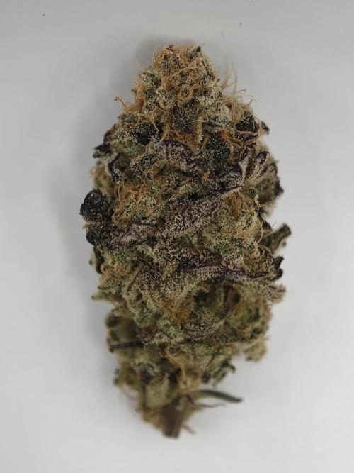 Cherry Breath FMG. Week 6