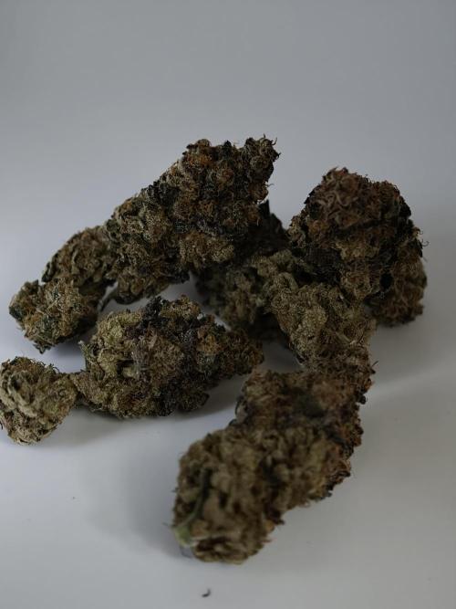 Okie Kush FMG. Week 6