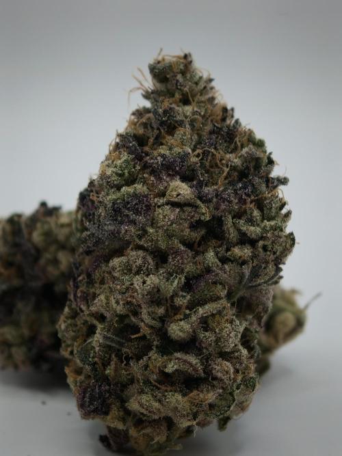 Okie Kush FMG. Week 6