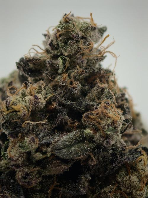 Okie Kush FMG. Week 6
