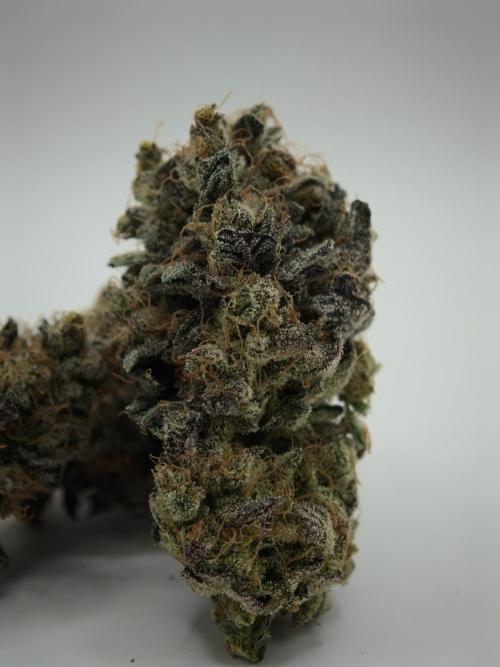 Pucker Puffs FMG. Week 6
