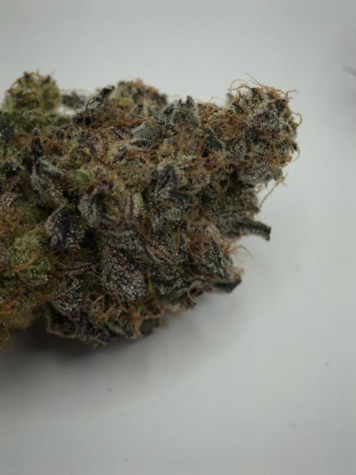 Pucker Puffs FMG. Week 6