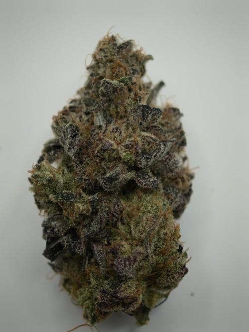 Pucker Puffs FMG. Week 6