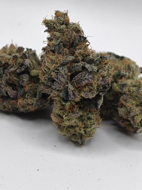 Pucker Puffs FMG. Week 6