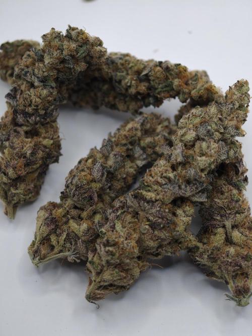 Scoop n' Loops FMG. Week 6