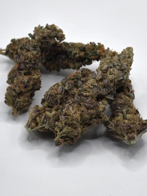 Scoop n' Loops FMG. Week 6