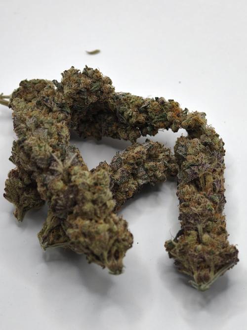 Scoop n' Loops FMG. Week 6