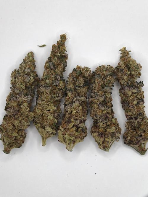 Scoop n' Loops FMG. Week 6