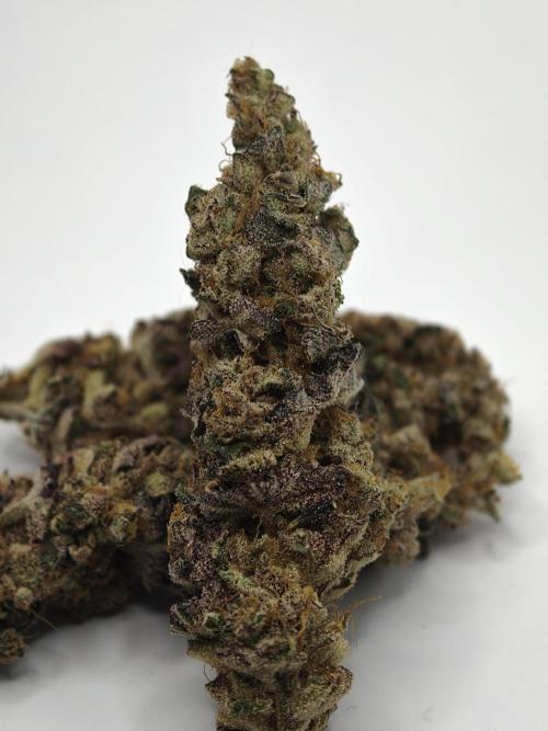 Scoop n' Loops FMG. Week 6