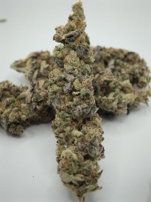 Scoop n' Loops FMG. Week 6