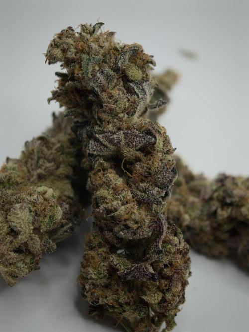 Scoop n' Loops FMG. Week 6