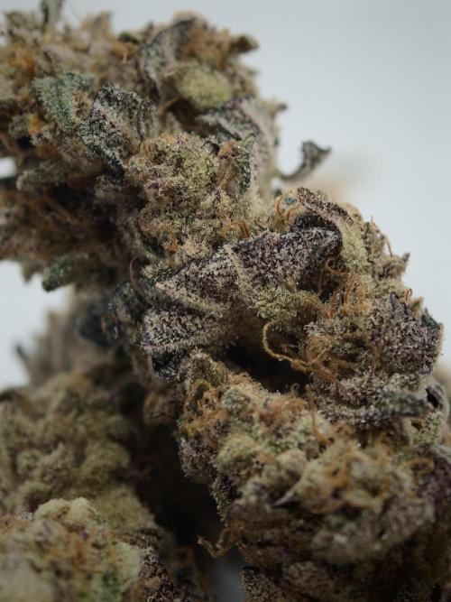 Scoop n' Loops FMG. Week 6