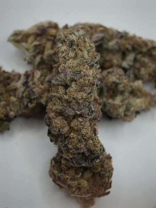 Scoop n' Loops FMG. Week 6