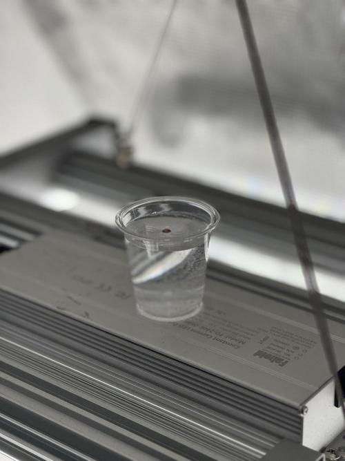 Going Hard In The Pot. Week 0