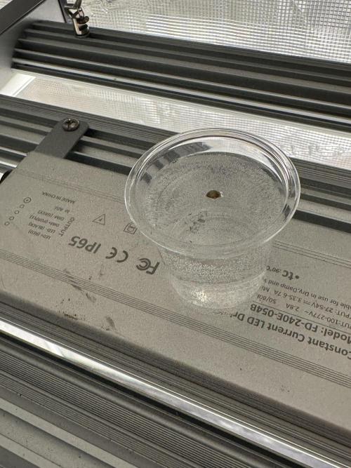 Going Hard In The Pot. Week 0