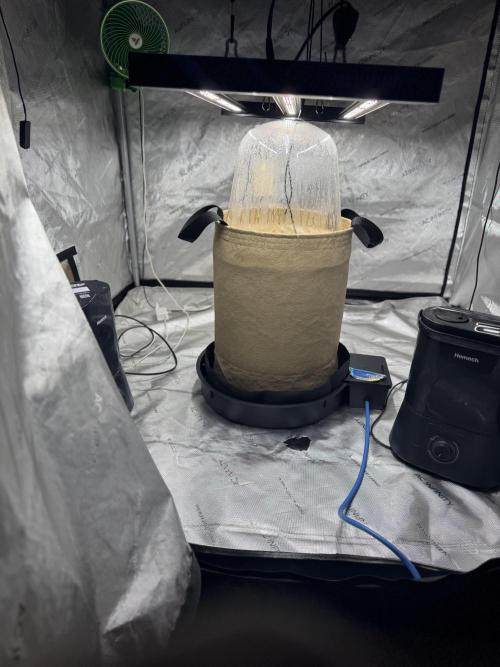 Going Hard In The Pot. Week 0