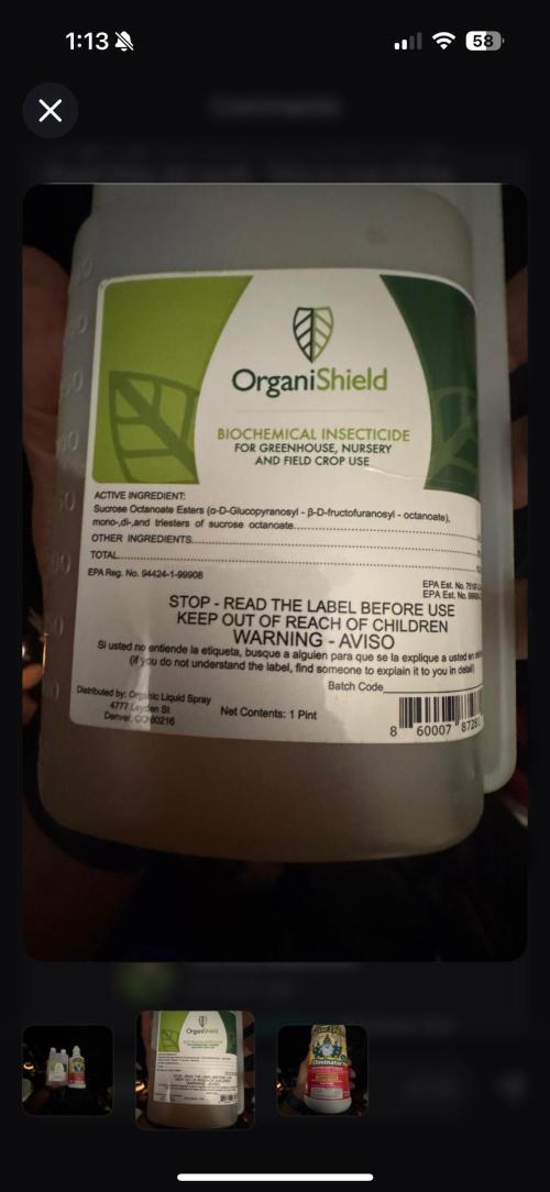 Going Hard In The Pot. Week 1 - A little pm