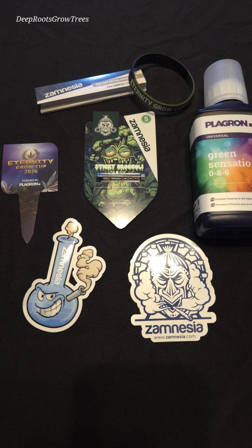 STICKY BROCCOLI 🥦 PLAGRON. Week 0