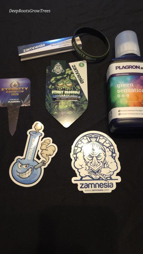 STICKY BROCCOLI 🥦 PLAGRON. Week 0