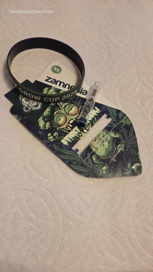 STICKY BROCCOLI 🥦 PLAGRON. Week 0