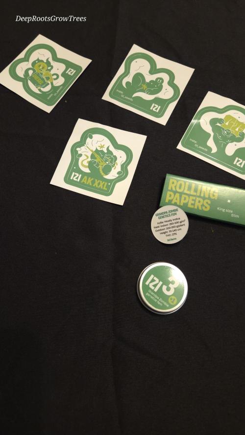 Grandpa Zombie 🧟‍♂️. Week 0