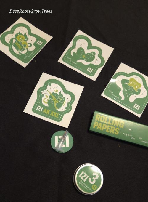 Grandpa Zombie 🧟‍♂️. Week 0