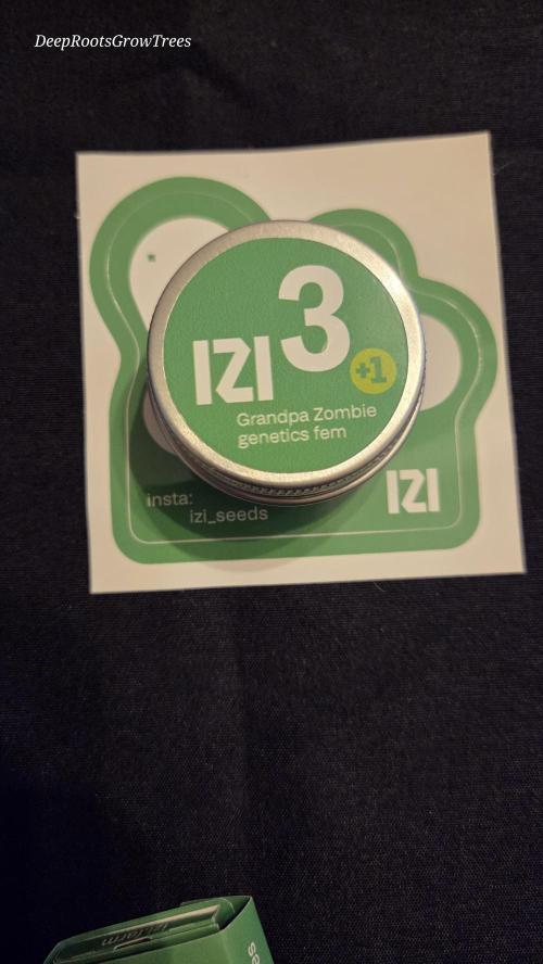 Grandpa Zombie 🧟‍♂️. Week 0