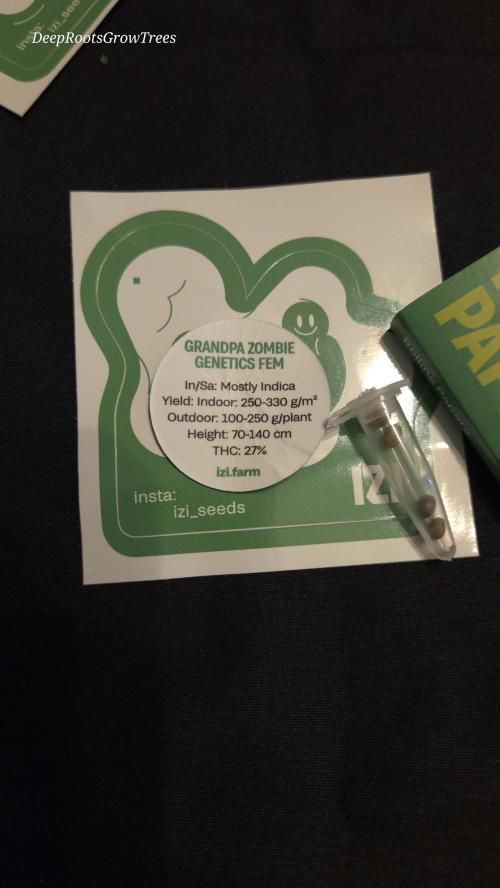 Grandpa Zombie 🧟‍♂️. Week 2