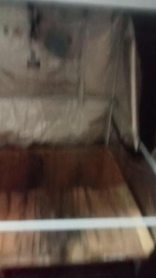 New year's 1st harvest 2025