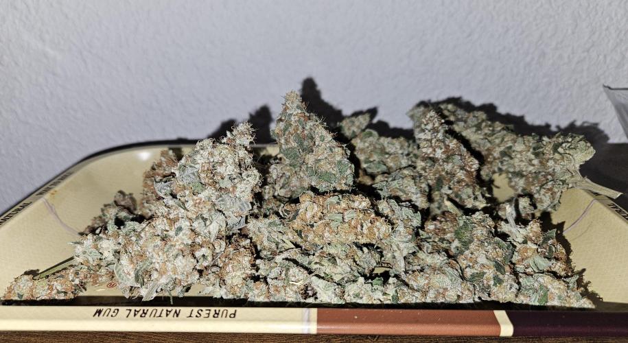 🍊range Bud 2.0. Week 15