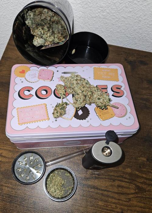 🍊range Bud 2.0. Week 15